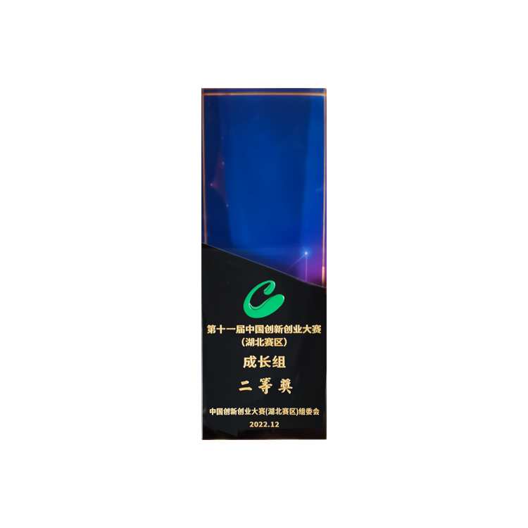 第十一屆中國創新創業大賽（湖北賽區）成長組二等獎
