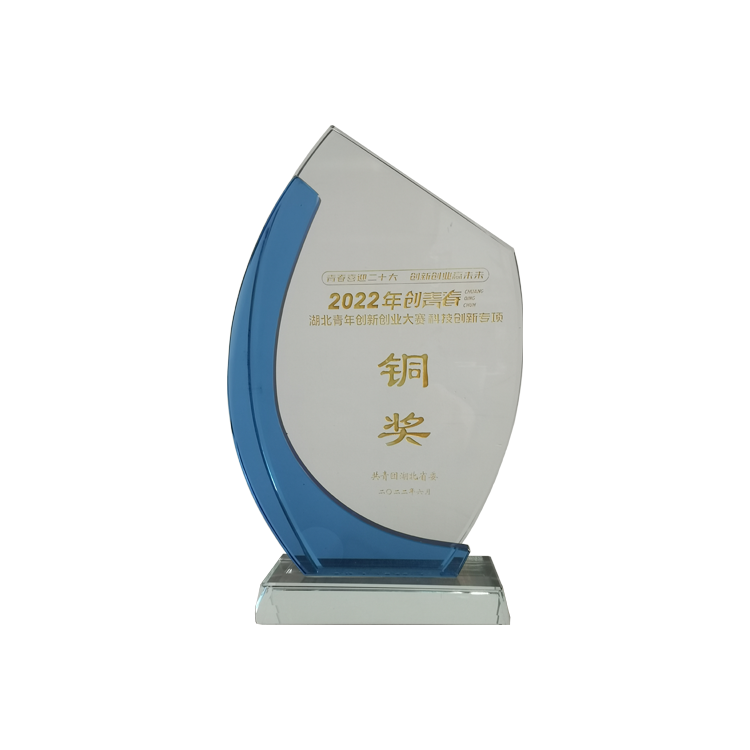 2022年“創青春”湖北青年創新創業大賽（科技創新專項）銅獎